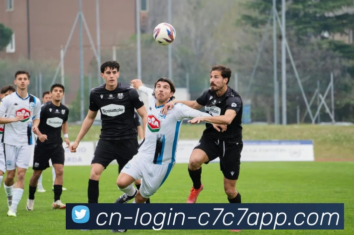 c7c7.app平台生态图